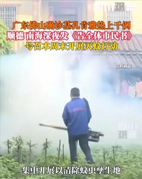 基孔肯雅熱為何在國內大規模暴發