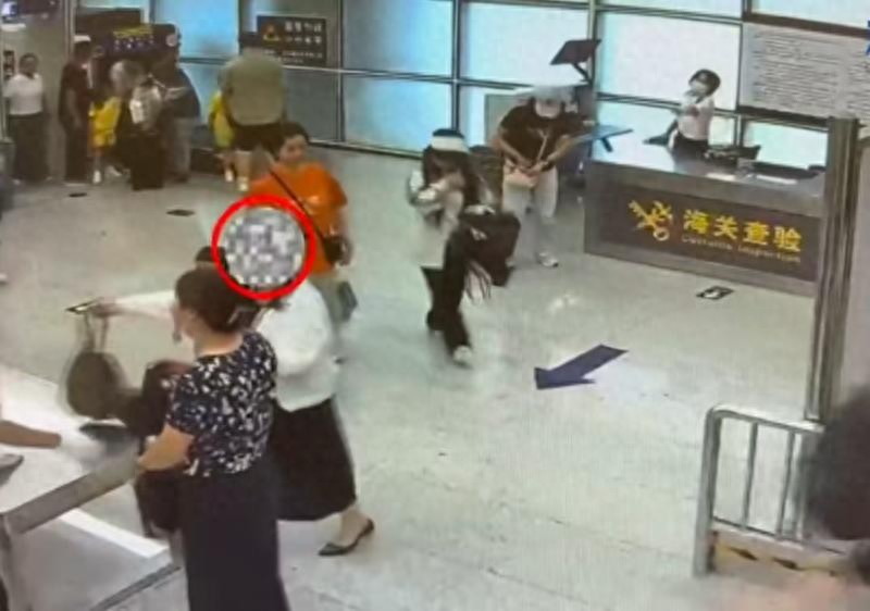 女子在內衣塞4條蟒蛇入境被查