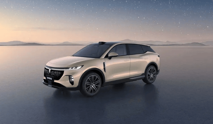 嵐圖知音“成本裸奔”,硬剛特斯拉