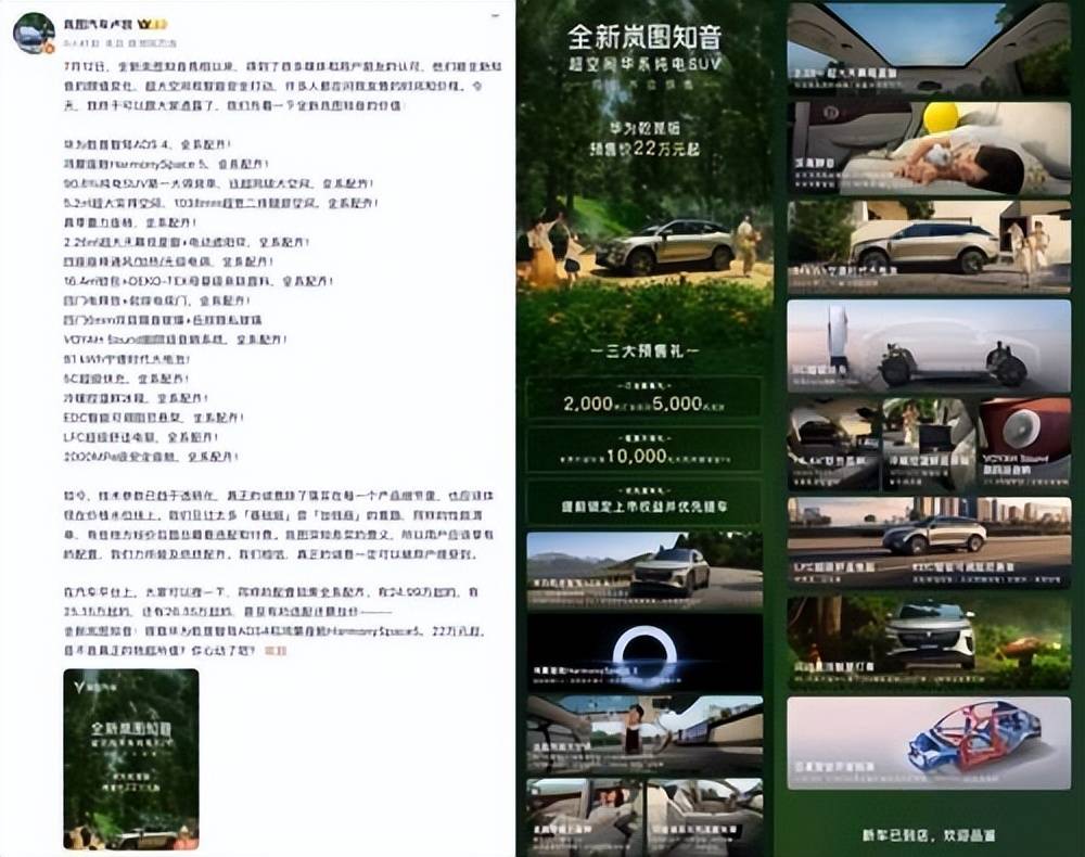 嵐圖知音“成本裸奔”,硬剛特斯拉