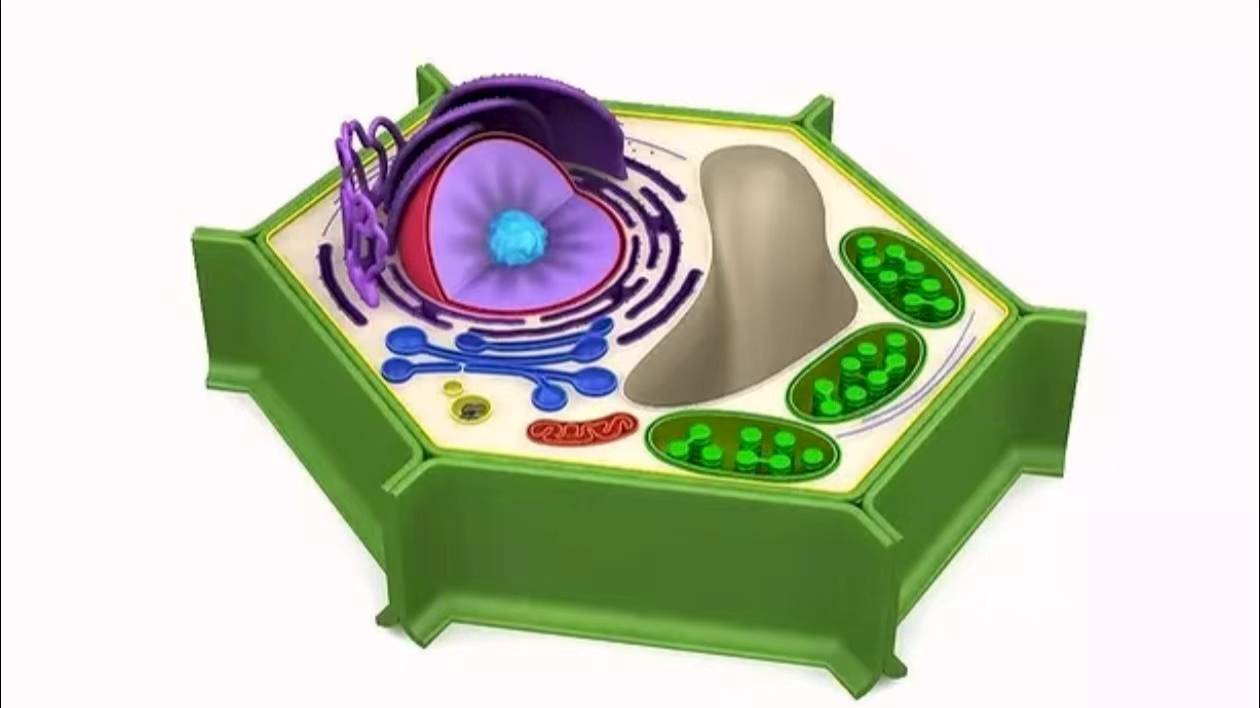 生物科學(xué)的“解碼器”:面向未來的科研分析技術(shù)體系